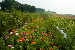 f0085875_1115851.jpg