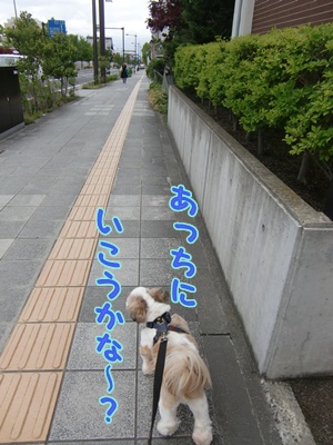 f0213476_6221333.jpg