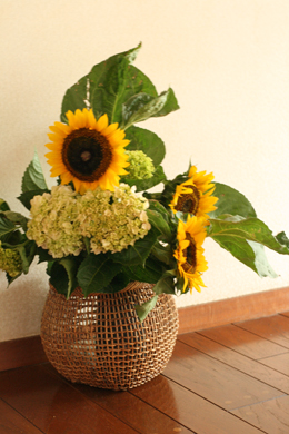 b0139477_2337666.jpg