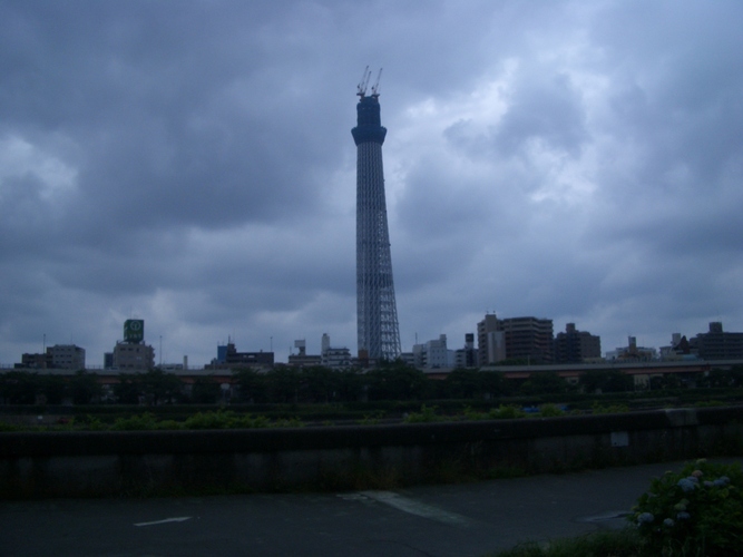 c0206177_20324721.jpg
