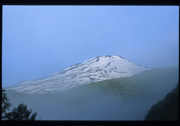 a0053783_11182559.jpg