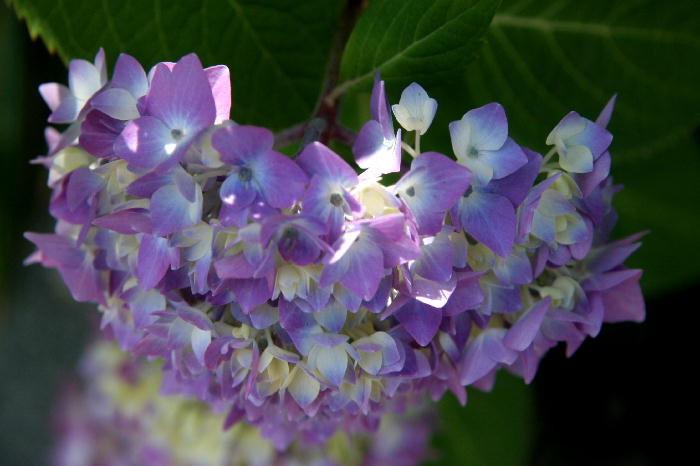 b0171185_031526.jpg