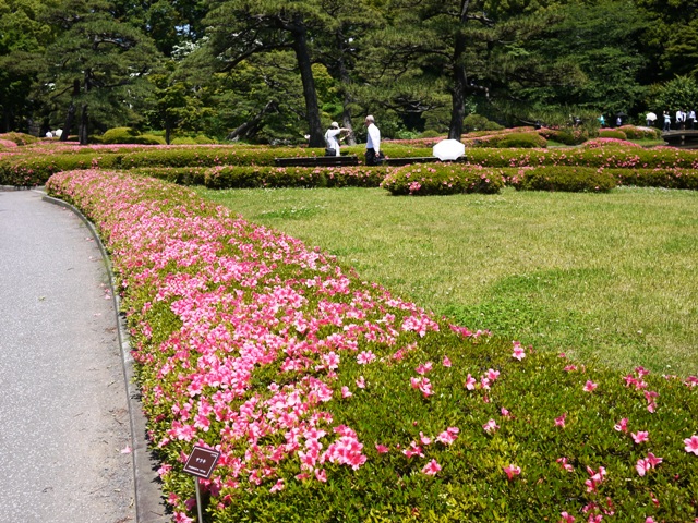 a0127090_221011.jpg