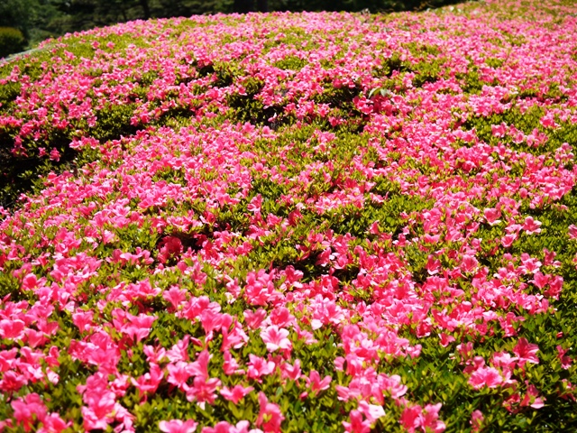 a0127090_2212186.jpg
