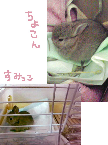 f0201191_23165877.jpg