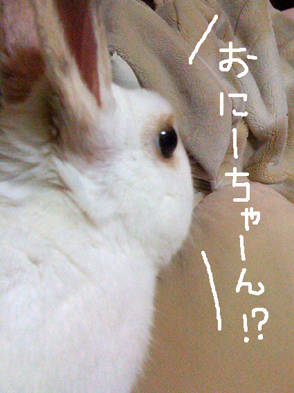 f0201191_2354488.jpg