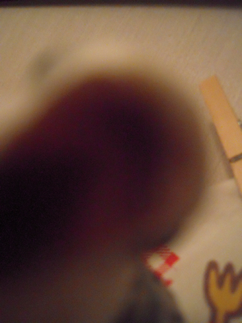 d0131293_20131842.jpg