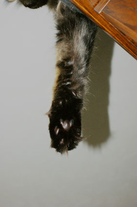 e0019594_23445867.jpg