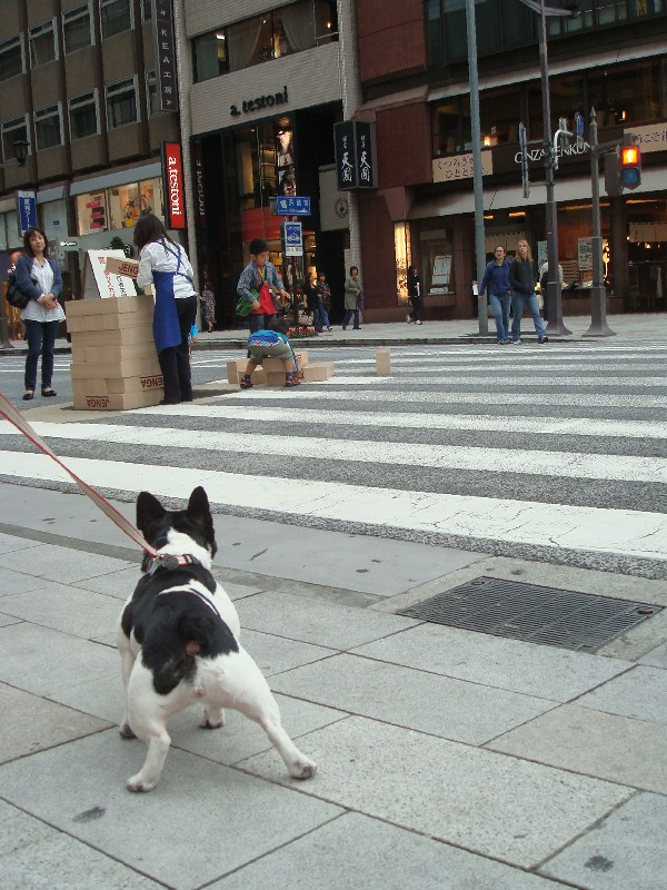 b0128098_074329.jpg