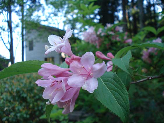 a0061599_7321270.jpg