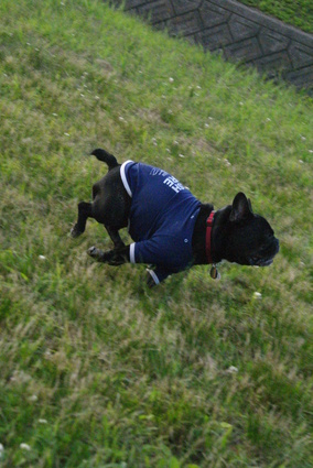 d0164100_9262530.jpg