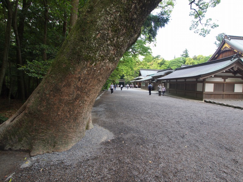 f0224100_5594597.jpg