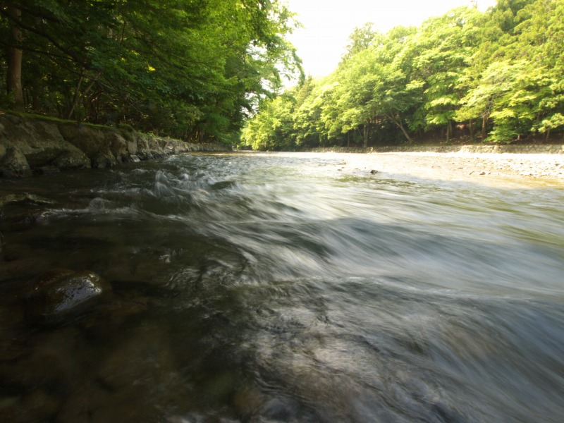 f0224100_623858.jpg
