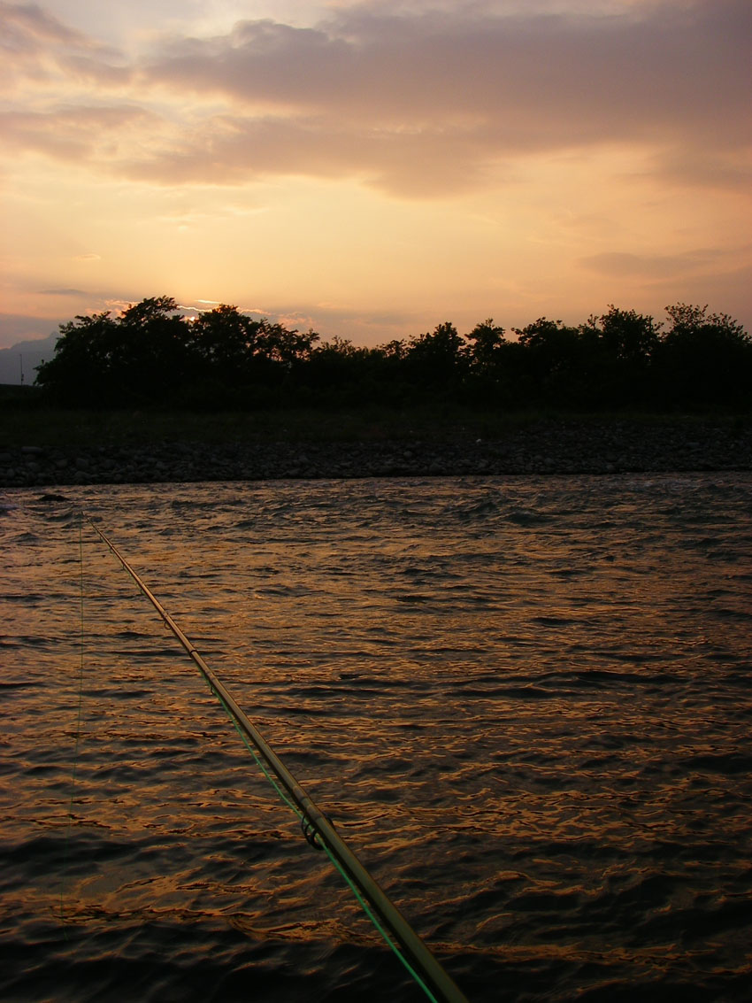 c0095801_8135096.jpg