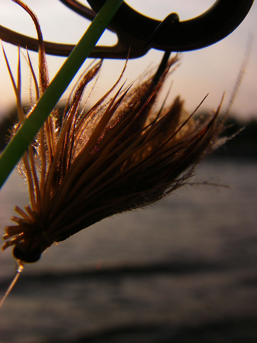c0095801_814013.jpg