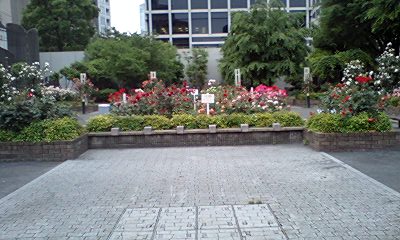 d0054704_26023.jpg