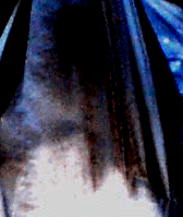 e0103408_12125770.gif
