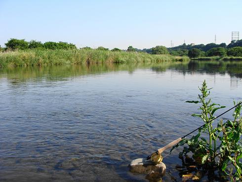e0123808_1516014.jpg