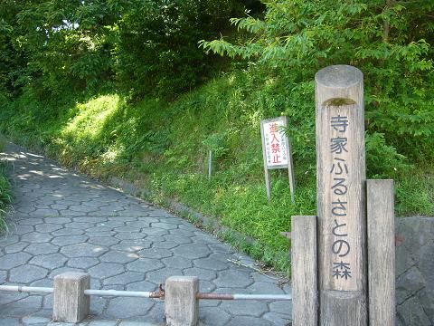 b0112909_0495091.jpg
