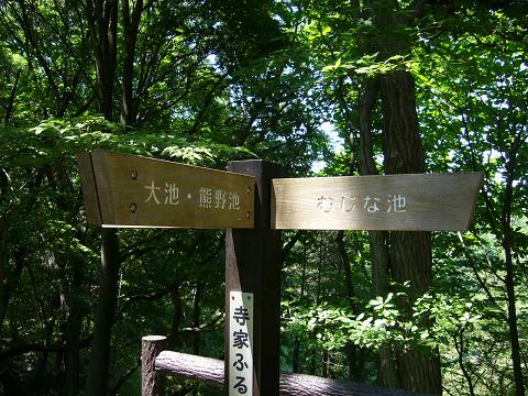 b0112909_05509.jpg