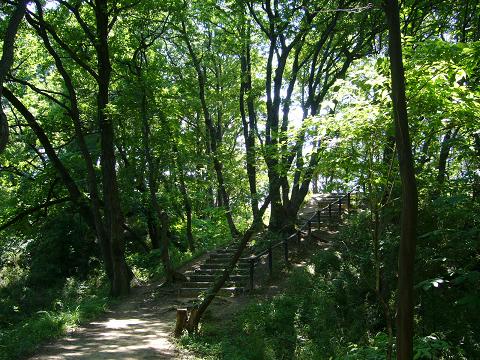 b0112909_058924.jpg
