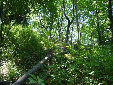 b0112909_0593960.jpg