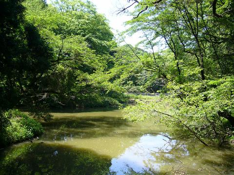 b0112909_103567.jpg