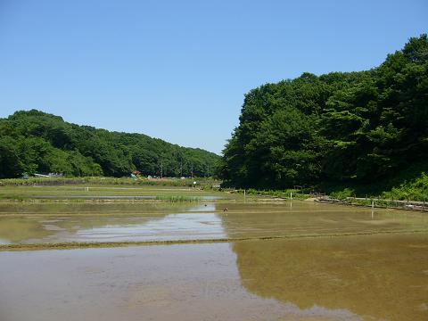 b0112909_13753.jpg