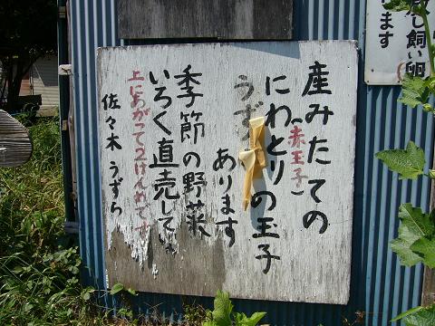 b0112909_15176.jpg