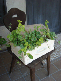 e0136609_20573690.gif