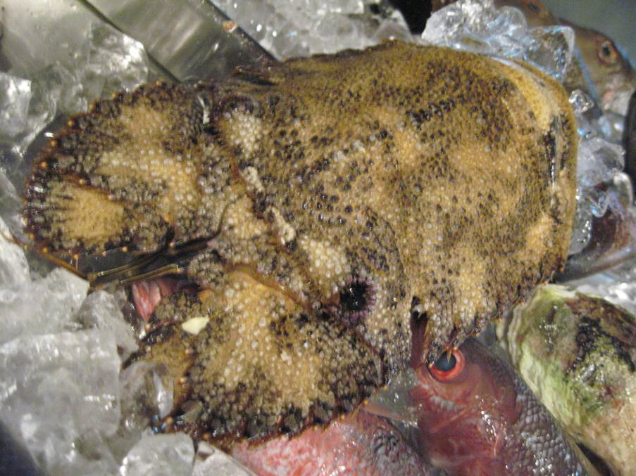 f0017712_21551684.jpg