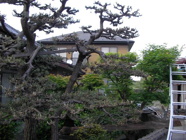 a0127015_21185297.jpg