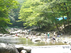 e0097615_15463019.jpg