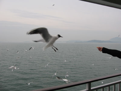 c0041316_2139613.jpg