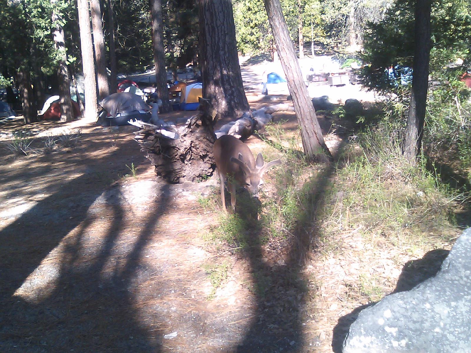 c0210618_15354941.jpg