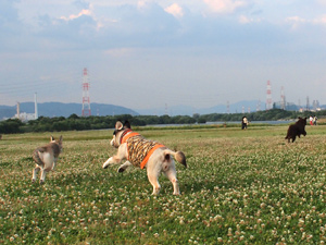 c0012120_0262673.jpg