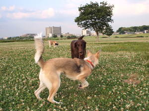 c0012120_0264089.jpg