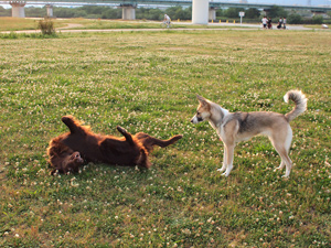 c0012120_0361710.jpg