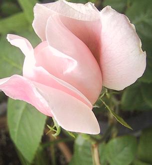 c0097620_21242383.jpg