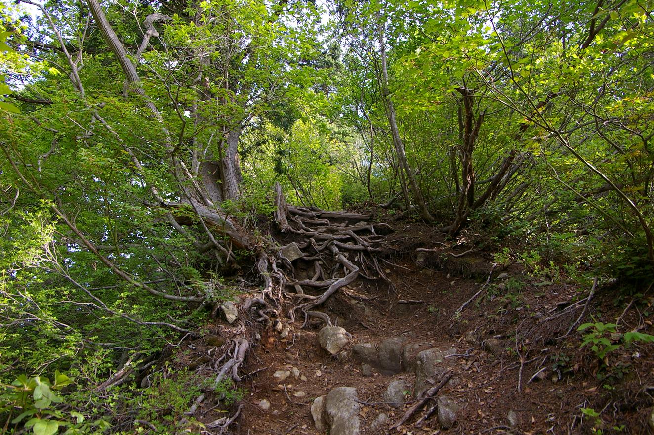 b0062024_6211016.jpg