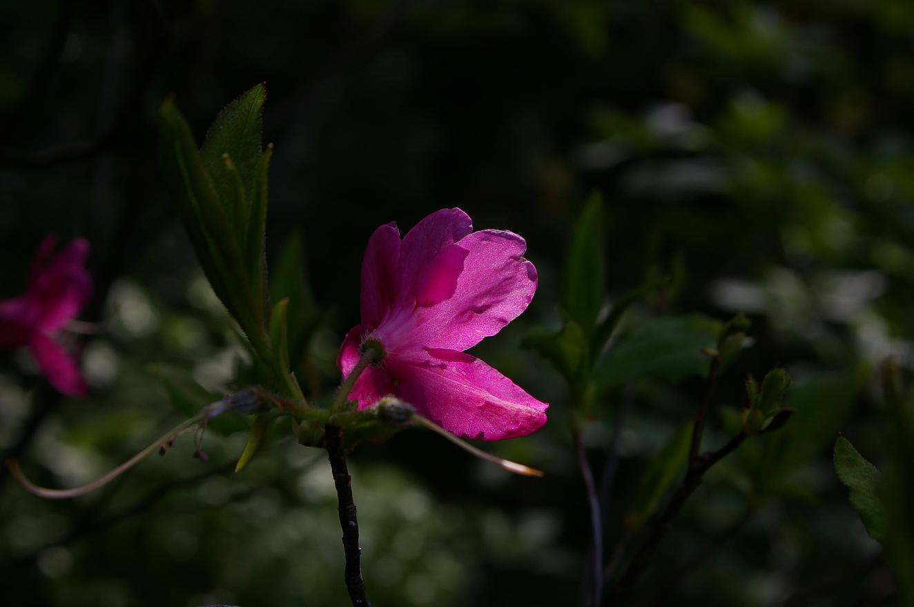 b0062024_6213967.jpg