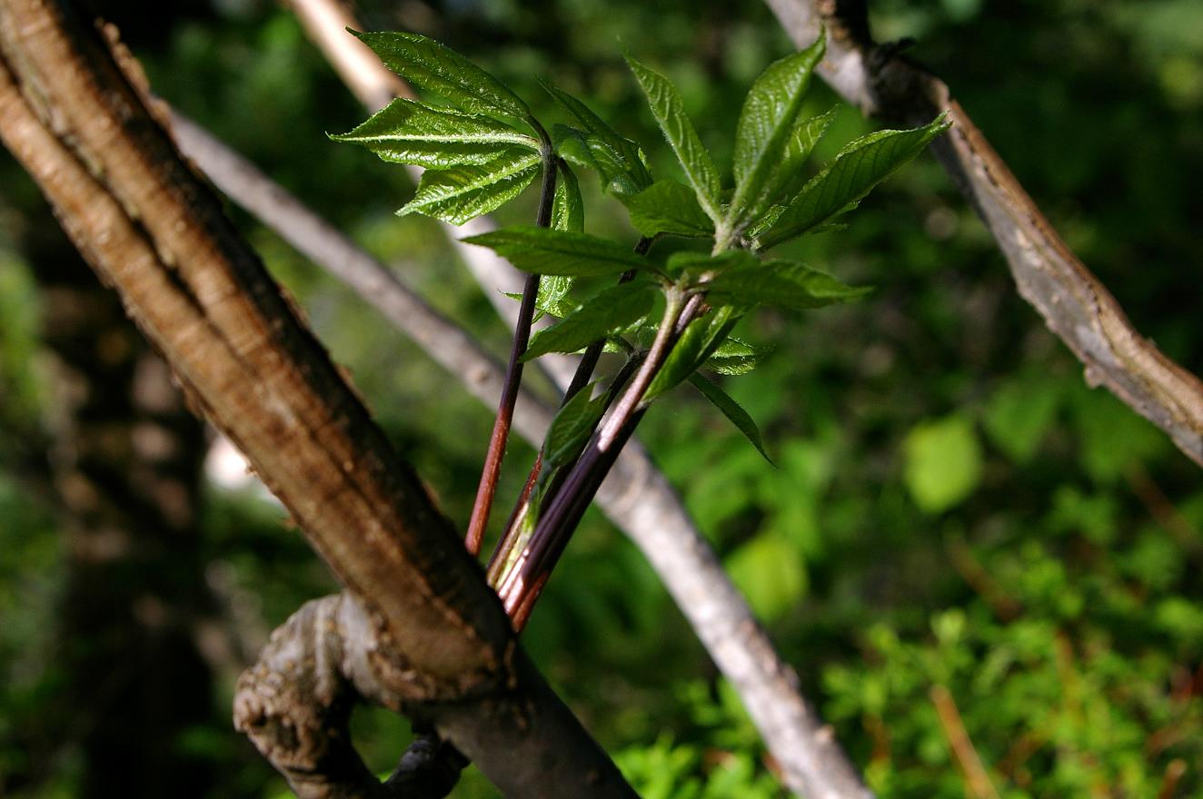 b0062024_6221341.jpg