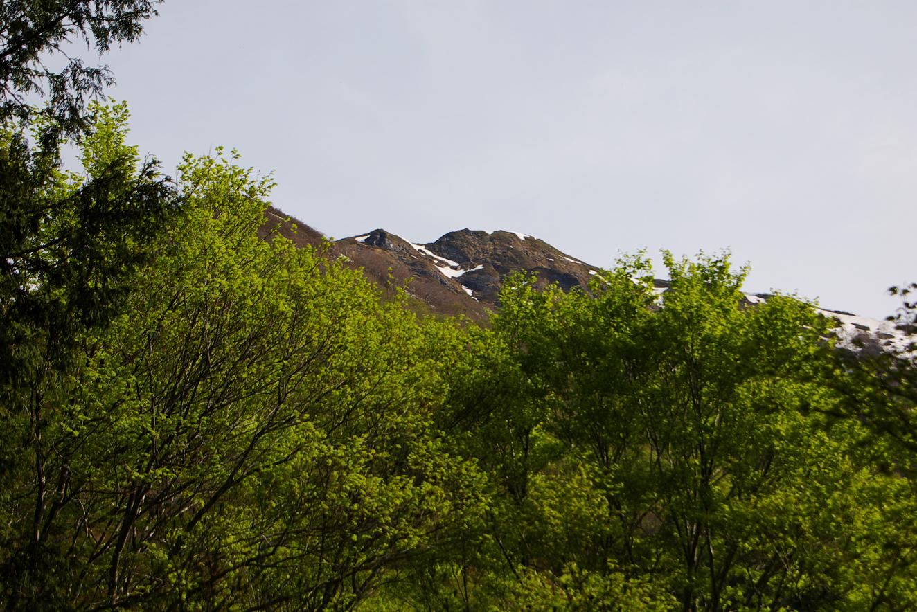 b0062024_6263587.jpg