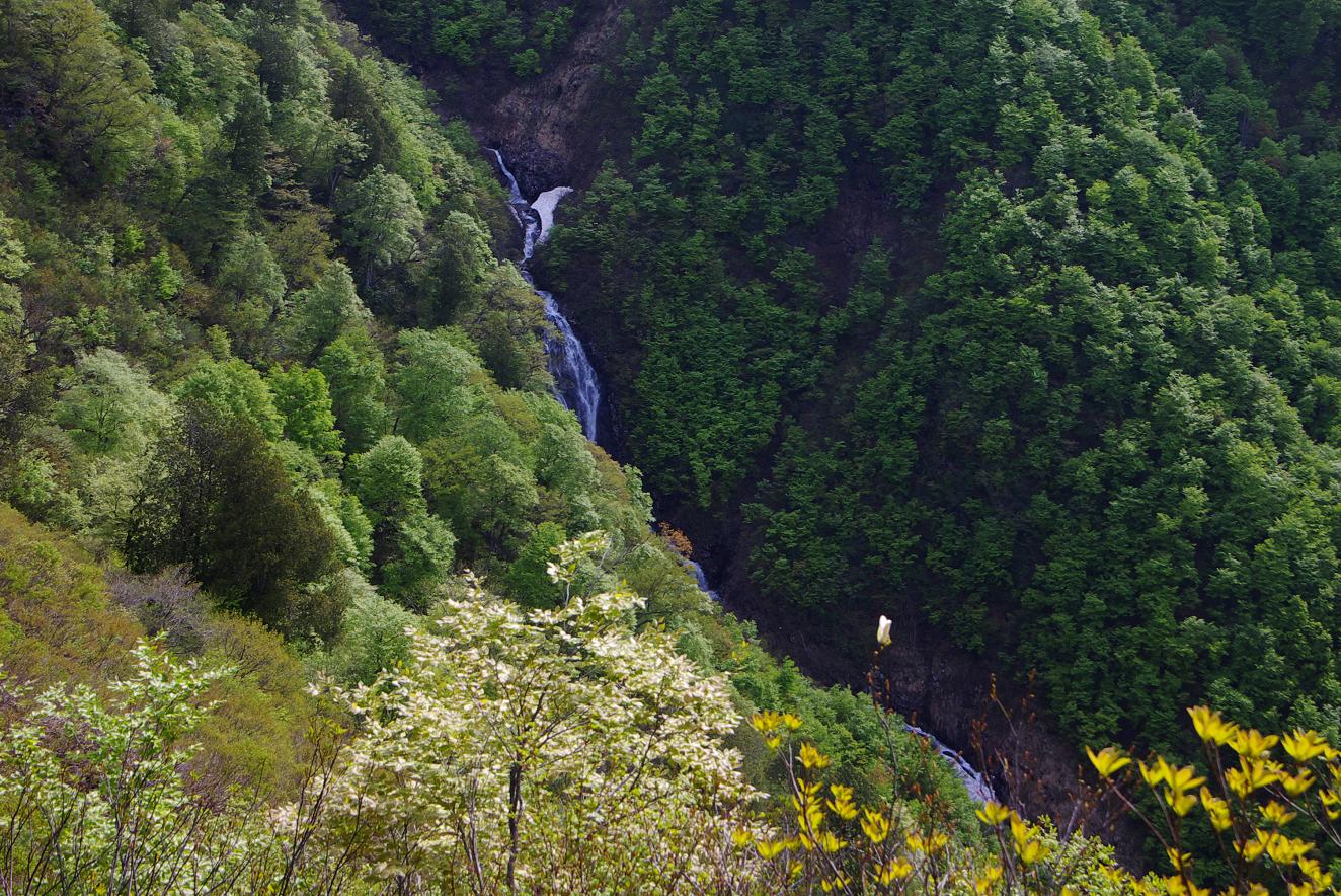b0062024_628454.jpg