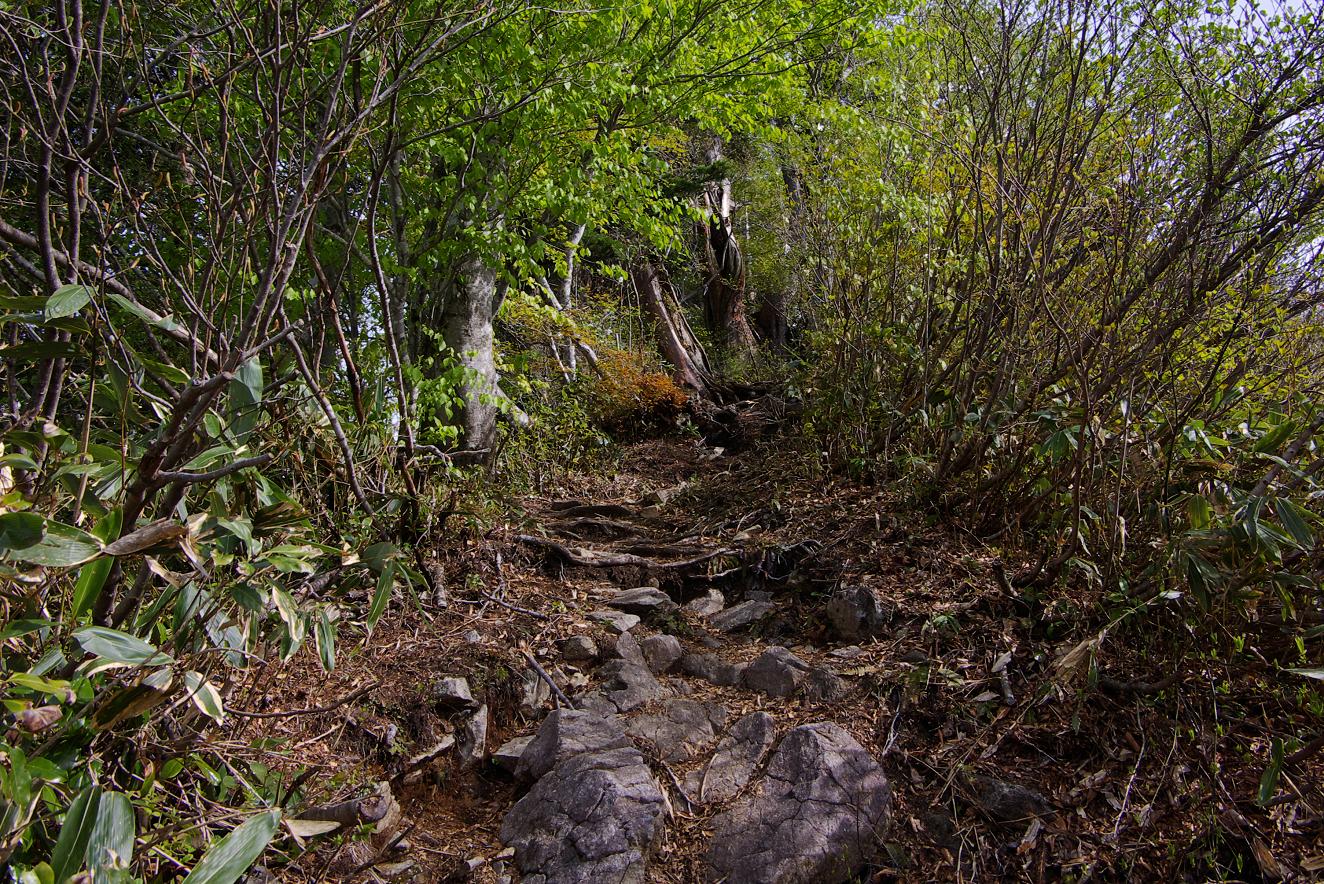 b0062024_6295773.jpg