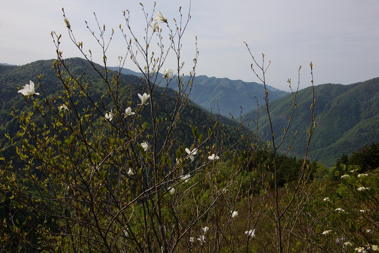 b0062024_6303957.jpg