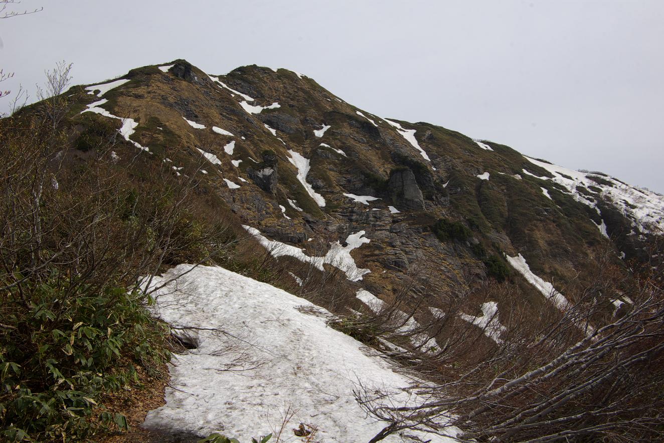b0062024_6375566.jpg