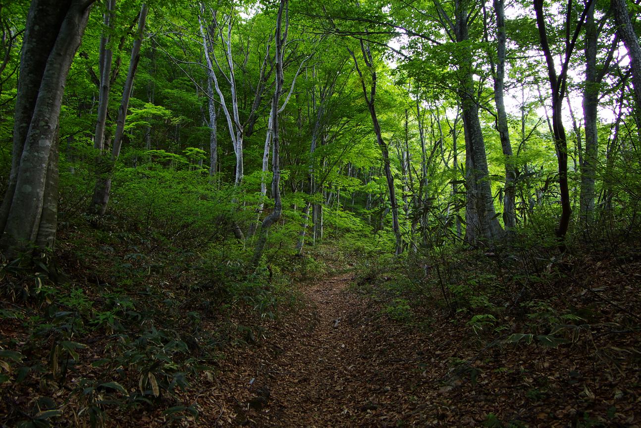 b0062024_654759.jpg