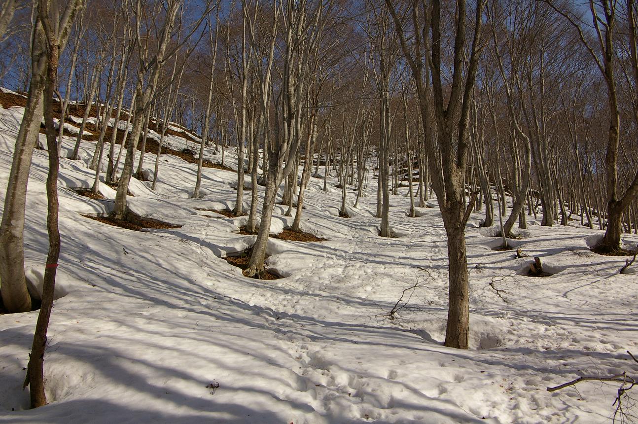 b0062024_681665.jpg