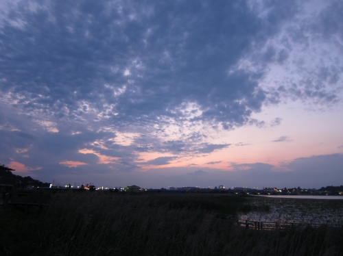f0225627_23563754.jpg